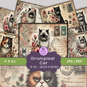 Cat Digital Papers, Cat Background, Grumpy Cat, Cat Postcard, Vintage Cat Junk Journal, Cats and Flowers Digital Paper, Cat Ephemera, Quirky