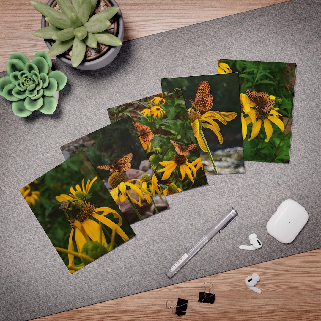 Bees & Butterflies Greeting Cards: Wildflower Note Card Set - 5 Pack - Etsy