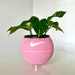 see more listings in the Basketball Planters section