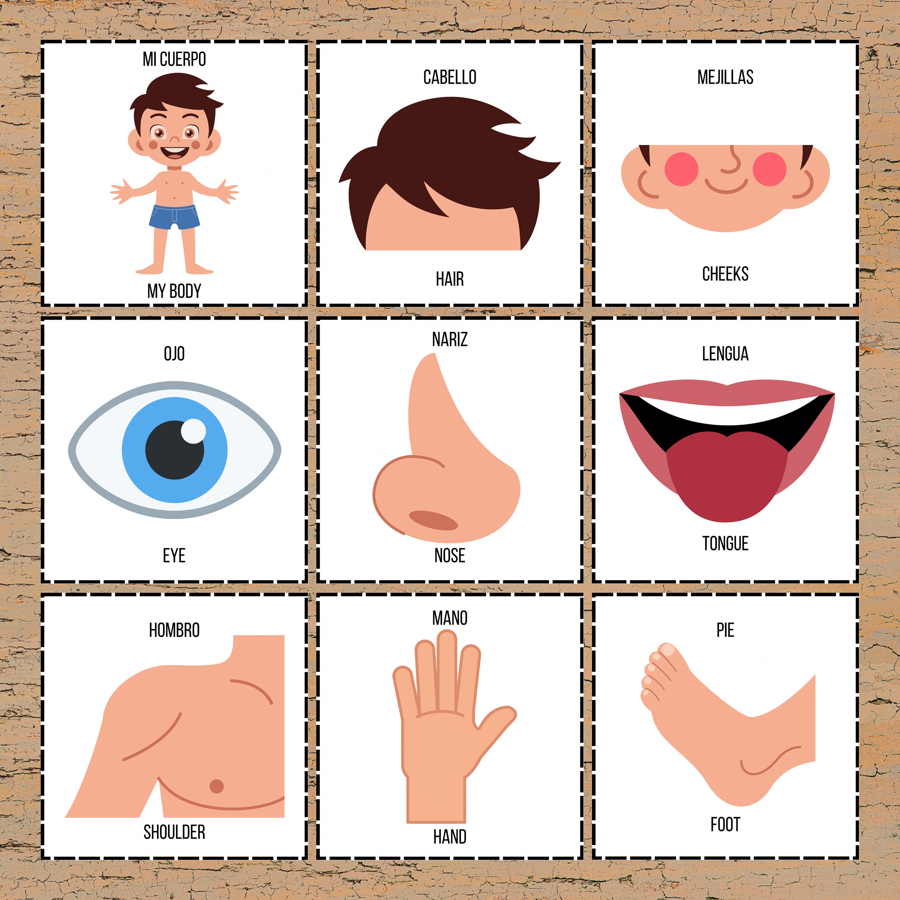 Tarjetas Ingles Para Niños Richardy 45 Unids/set Rutinas Diarias