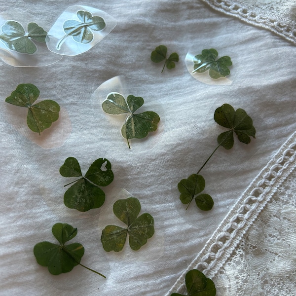 4 Leaf Clovers