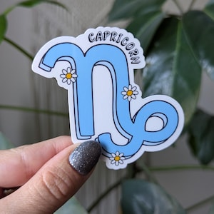 Steenboksticker voor kindle, astrologiestickers voor waterfles, sterrenbeeldsticker, horoscoop, heksencadeaus voor haar, metafysische geschenken