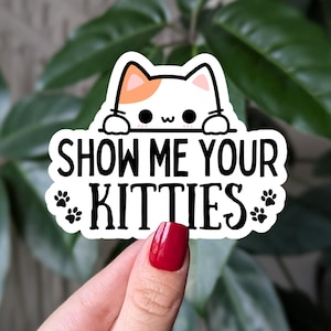 Montrez-moi l'autocollant de votre chaton, autocollant drôle de chat en vinyle pour ordinateur portable, cadeau amusant pour les amoureux des chats, autocollant de jeu de mots chat mignon pour bouteille d'eau