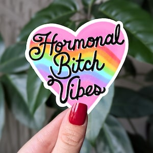 Pegatina de vibraciones de perra hormonal, divertida pegatina de vinilo sobre salud mental, pegatina feminista atrevida, pegatina de estado de ánimo, regalo para ella
