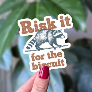 Risk it for the biscuit wasbeer sticker, grappige vuilnispanda vinylsticker, hilarische dierensticker voor volwassenen en tieners, laptopsticker