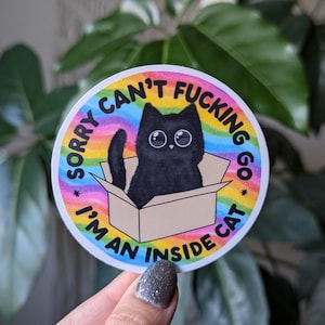 Je ne peux pas y aller, je suis un chat d'intérieur, autocollants introvertis drôles pour bouteille d'eau, autocollant antisocial pour ordinateur portable, autocollant de santé mentale, cadeau pour amoureux des chats
