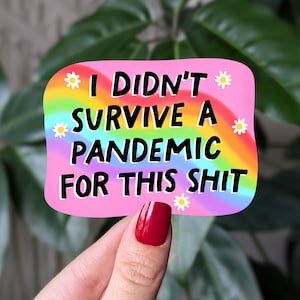 Eu não sobrevivi a uma pandemia por este adesivo, adesivo engraçado de arco-íris, humor de saúde mental, decalque para laptop, presente para amigo