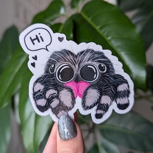 Sticker araignée sauteuse, stickers insectes pour bouteille d'eau, cadeau mignon pour amateur d'araignées, cadeaux araignée, araignée mignonne, stickers tendance pour kindle