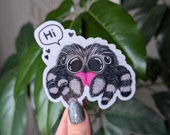 Jumping spider sticker, insect stickers for water bottle, cute gift for spider lover, spider gifts, cute spider, trendy stickers for kindle