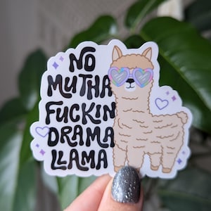 Autocollant lama sans drame, lama mignon, autocollants introvertis pour bouteille d'eau, autocollants humoristiques pour ordinateur portable, autocollants drôles de jeux de mots, autocollants animaux