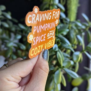 May include: Orange sticker with white text that reads "Craving for Pumpkin Spice and Cozy Vibes". The sticker has a daisy design around the text.