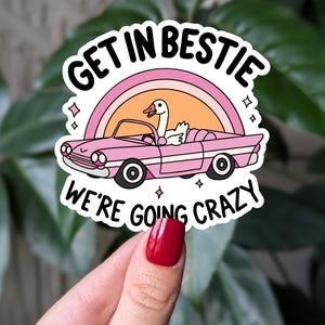 Sticker Get In Bestie, nous devenons fous, Sticker oie drôle, Sticker vinyle esthétique rétro, Sticker bestie mignon, cadeau amusant pour des amis