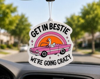 Get In Bestie We’re Going Crazy Air Freshener, Funny Goose Car Air Freshener, Raspberry Scent Car Freshener, Cute Retro Car Decor