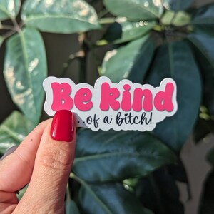 Adesivo seja meio vadia, adesivos de humor adulto para kindle, presente atrevido para melhor amiga, adesivos sarcásticos para ela, adesivo engraçado para copos