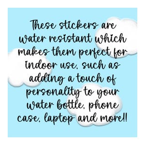 May include: These stickers are water resistant, making them perfect for indoor use, such as adding a touch of personality to your water bottle, phone case, laptop, and more!