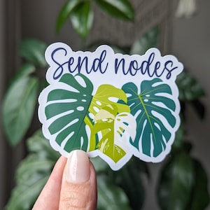 Envía nodos, pegatinas para amantes de las plantas para botellas de agua, artículos de plantas para chicas, regalos de plantas para mujeres, productos de plantas, regalos de monstera para mejores amigas