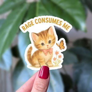 Sticker Rage me consume, Sticker vinyle chat en colère drôle, Sticker chaton en colère, Humour santé mentale, Sticker bouteille d'eau drôle