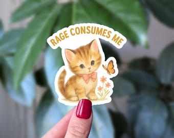 Pegatina "La rabia me consume", divertida pegatina de vinilo de gato enfadado, pegatina de gatito enfadado, humor sobre salud mental, divertida pegatina de botella de agua