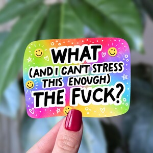 Pegatina "Qué demonios", pegatina con palabrotas divertidas, pegatina de vinilo con humor sobre salud mental arcoíris, pegatina para portátil WTF, pegatina con humor identificable