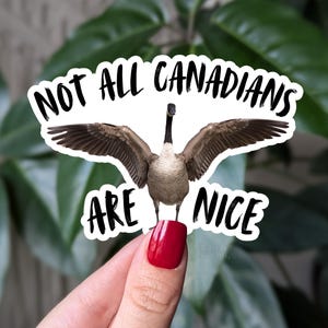 Niet alle Canadezen zijn leuk sticker, grappige sticker van Canadese gans, grappig Canadees cadeau, sticker Canadese humor, sticker agressieve gans, sticker agressieve gans