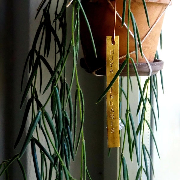 Handstamped hanging brass lable, tag or sign for your plants. Personalize indoor or outdoor garden with a vintage flare