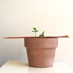 Handmade copper seedling pricker for artisan gardener. Copper dibbler.