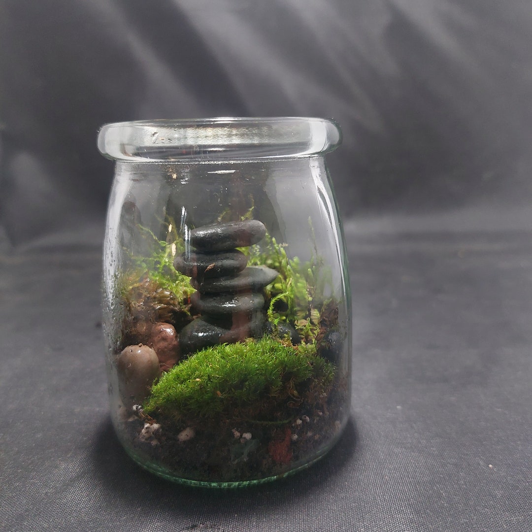 Zenrrarium Moss Terrarium With Cairns / Rock Stacks Etsy