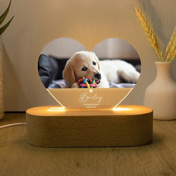 Pet Memorial Custom Acrylic Heart Night Light, Personalized Bedroom LED Decor Sign, Light up Sign, Gift for Pets