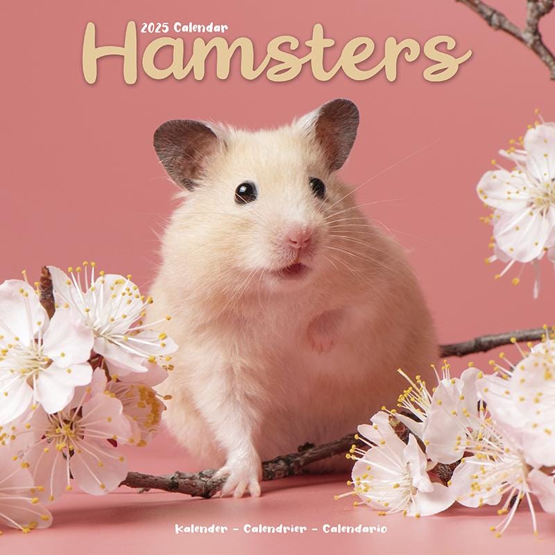 hamster-calendar-etsy