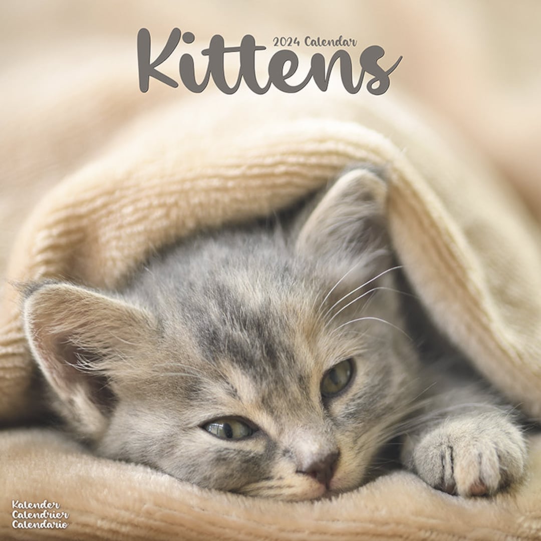 Mon Calendrier Mural : Calendrier 2024 de photos de chatons