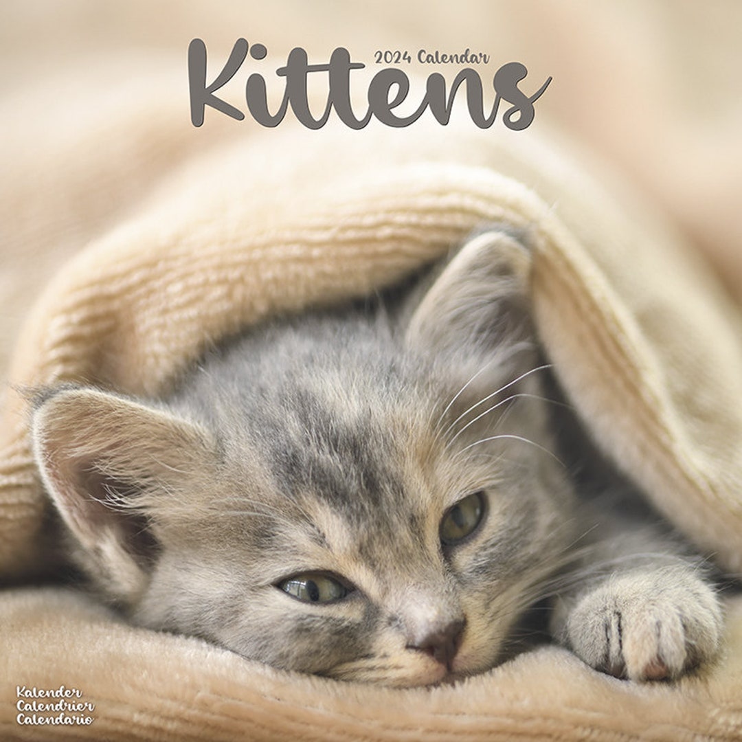 2024 Kitten Calendar With Multi Photos Calendar To Hang With Etsy 2024 Kitten Calendar With Multi Photos Calendar To Hang With Etsy