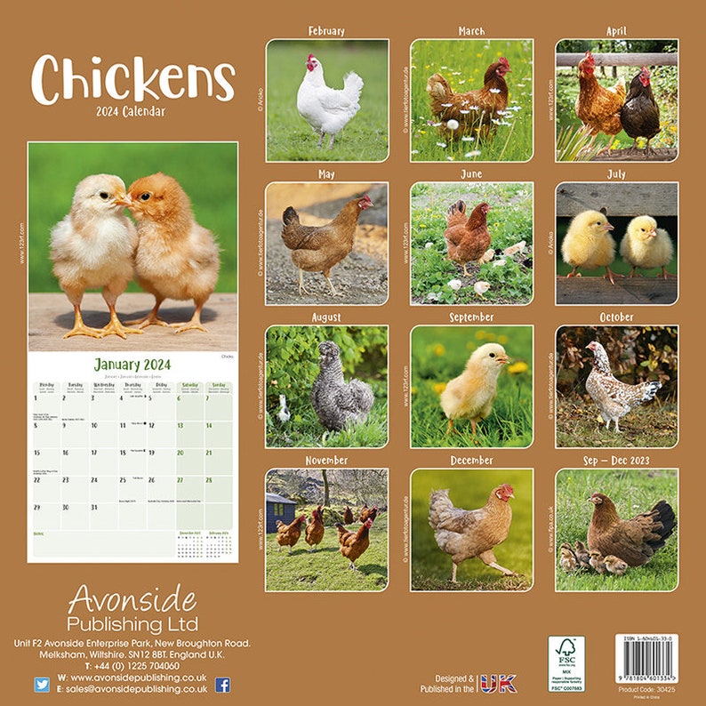2024 Farm Animal Hen Calendar With Multi Photos Hanging Etsy