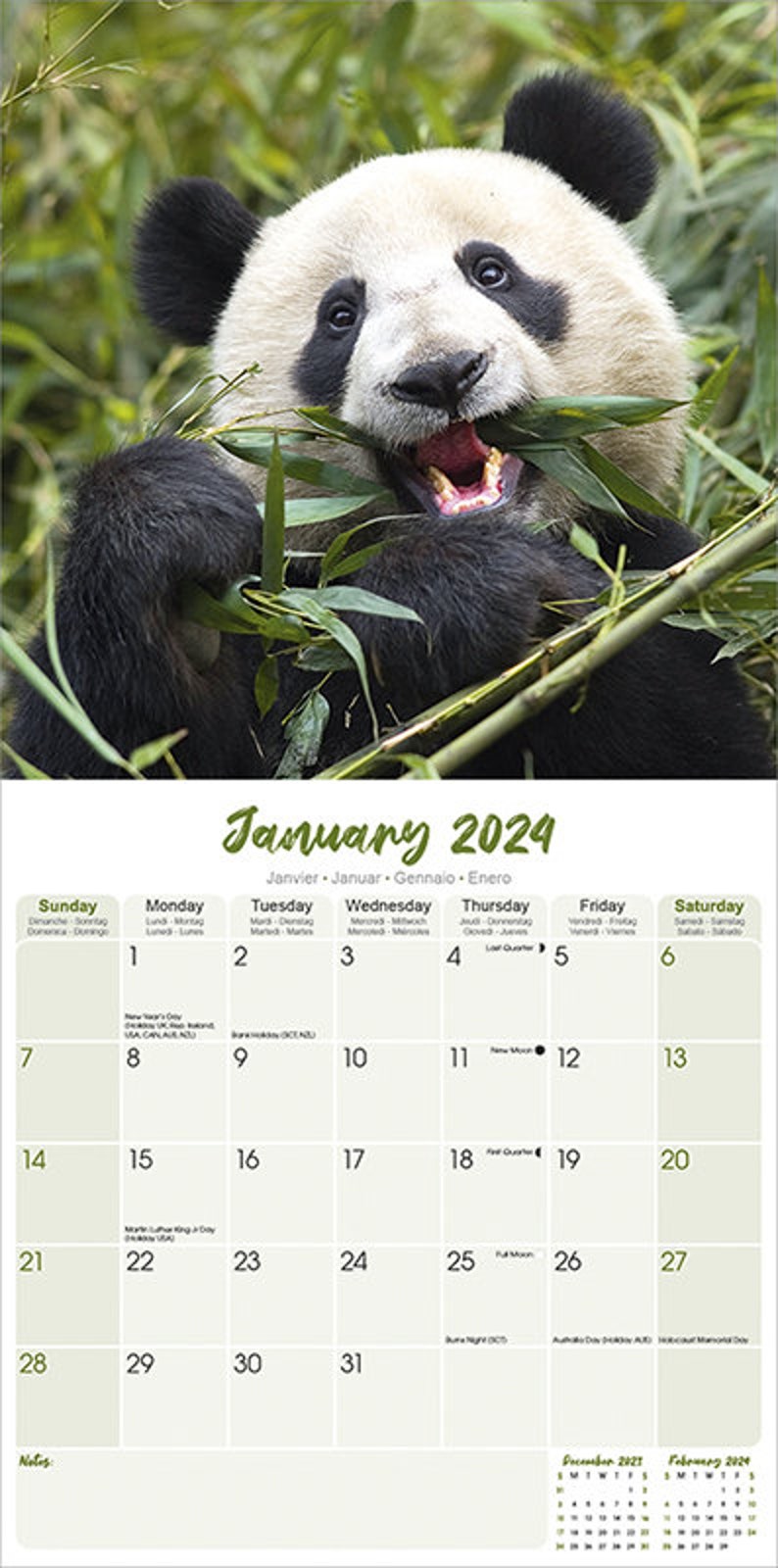 Calendario Panda 2024 con calendario multifotos para colgar Etsy México