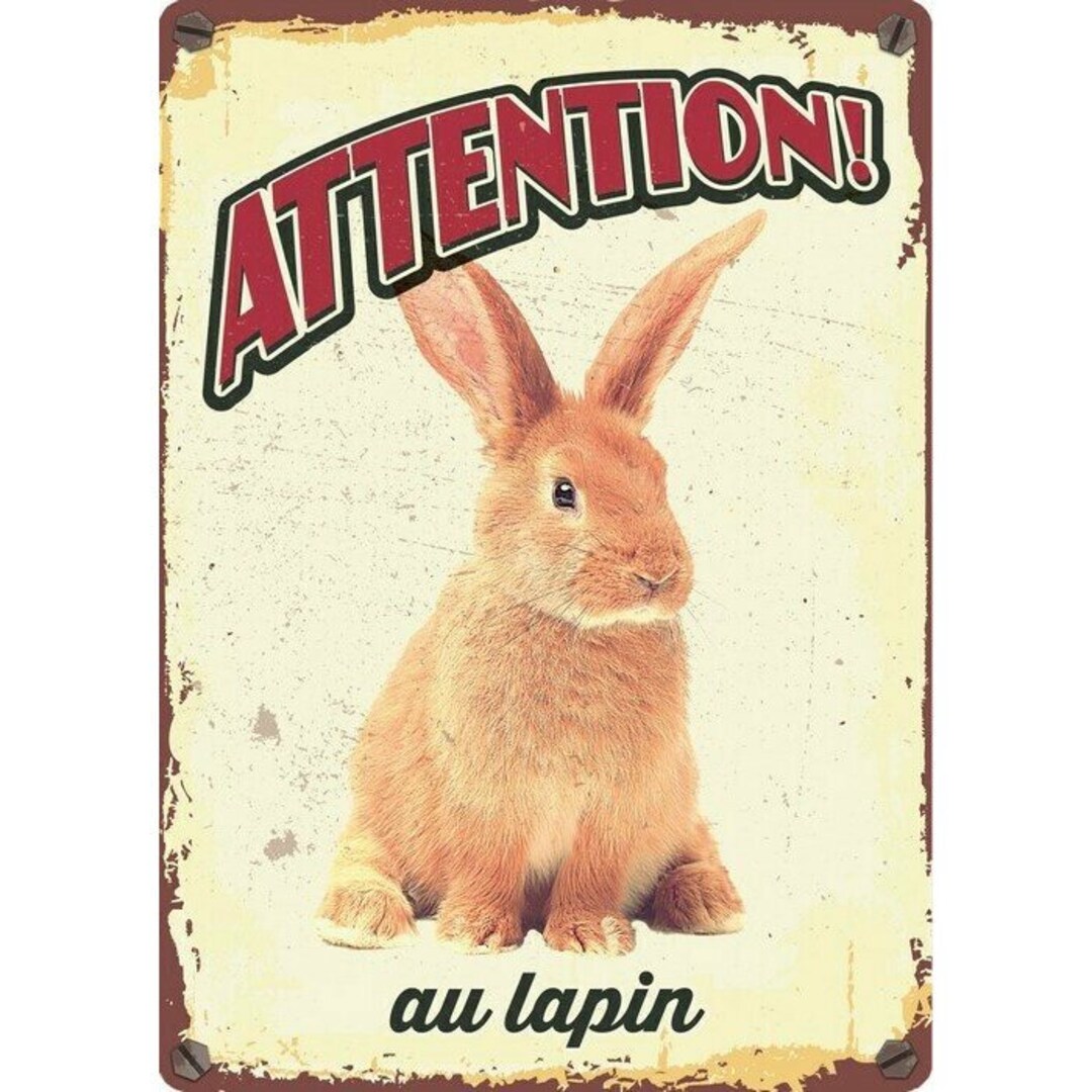Beware the Rabbit Entrance Sign | Metal | Decoration Collection Pig ...