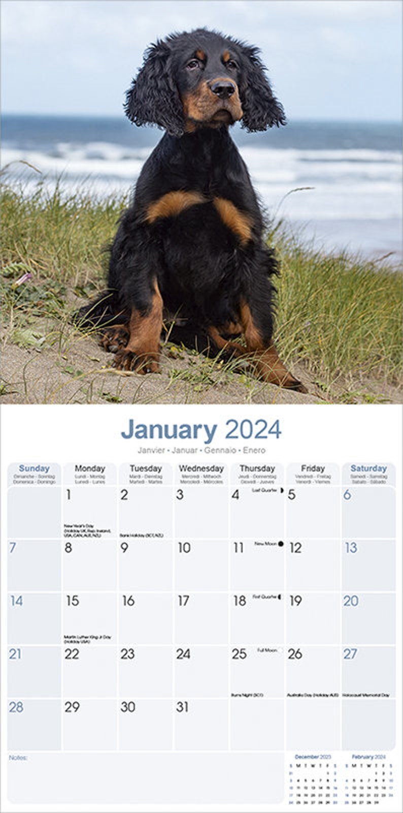 2024 Gordon Setter Breed Dog Calendar 2024 Calendar - Etsy