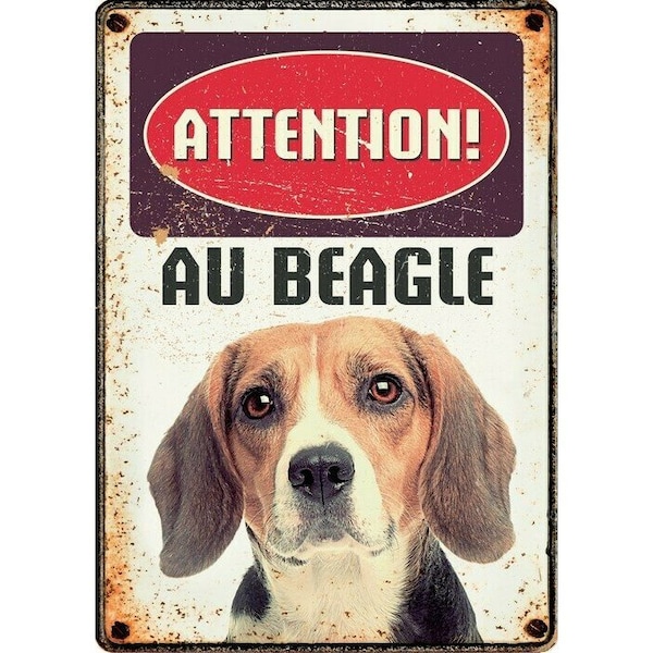 Plaque d'entrée maison Attention beagle | En métal | décoration collection chien