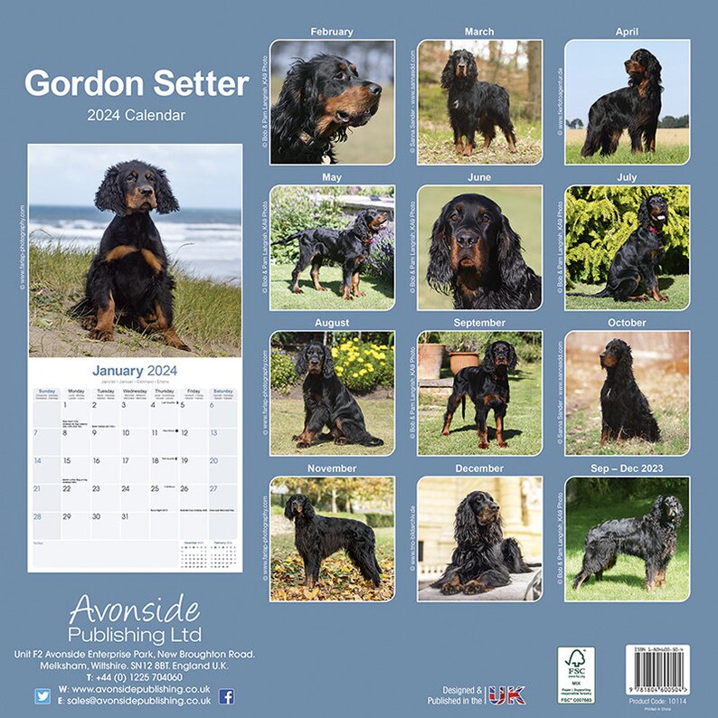 2024 Gordon Setter Breed Dog Calendar 2024 Calendar - Etsy