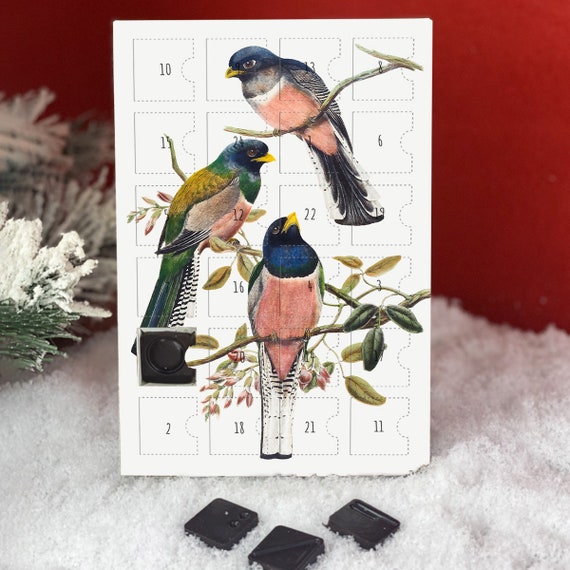 Advent Calendar Birds Drawing in Love With Nature Personalized With Your Message With Fine Chocolates Original Gift - Etsy