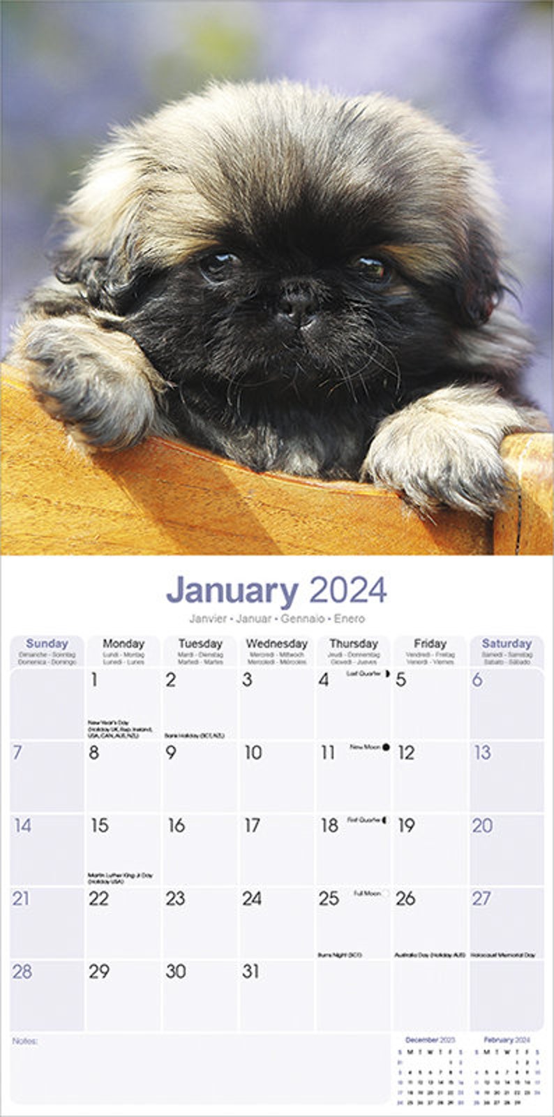 2024 Pekingese Dog Calendar 2024 Calendar Generous Format - Etsy