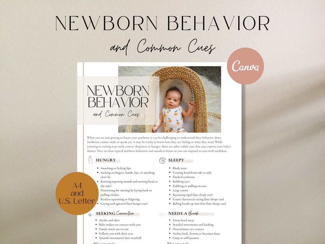 Newborn Behavior and Common Cues, Baby Cues Handout, Newborn Mood, Baby
