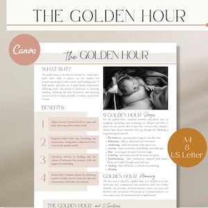 Golden Hour Handout, Skin to Skin Handout, Golden Hour Labor, Birth Doula Handout, Doula Template, Childbirth Education, Birth Planning