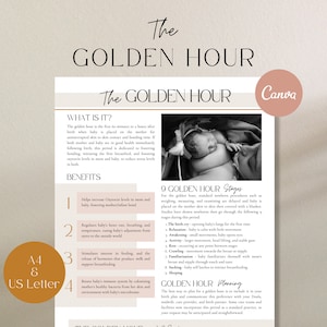 Golden Hour Handout, Skin to Skin Handout, Golden Hour Labor, Birth Doula Handout, Doula Template, Childbirth Education, Birth Planning