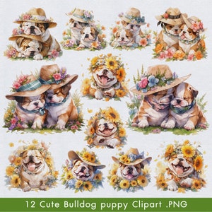Clipart Bulldog / Bulldog inglese PNG / Bulldog cucciolo PNG / Clipart cane carino / PNG cane / Ritratto cane / Clipart acquerello / Immagini cucciolo