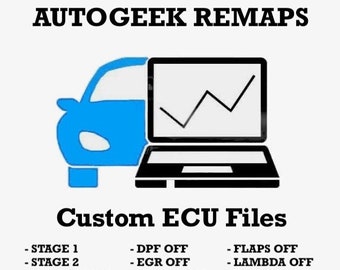 Niestandardowy plik strojenia ECU - ponowne mapowanie etapu 1 dtc egr dpf lambda usuń