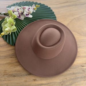 May include: A brown felt fedora hat with a wide brim and a slightly indented crown.