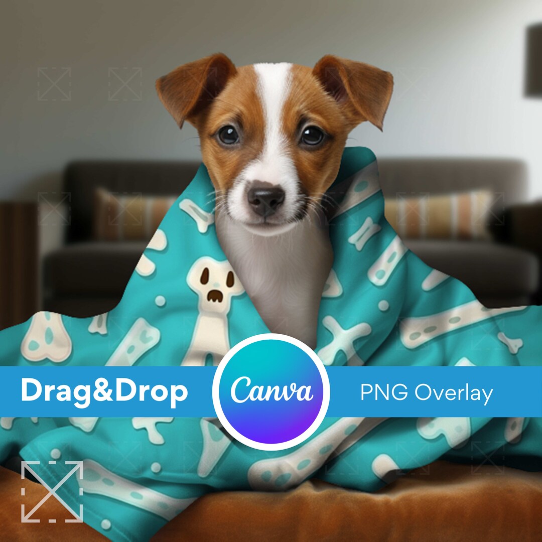 Dog Blanket Mockup Blanket Mockups Drag and Drop Mockups Etsy UK