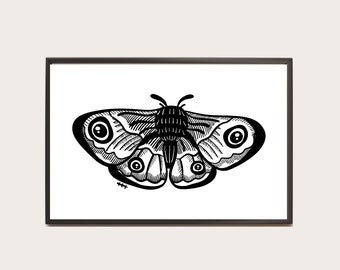 Moth Print