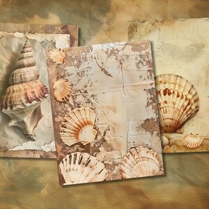 21 Vintage Seashell Papers, capturing the intricate beauty of seashells and the spirit of vintage oceanography for your creative endeavors.