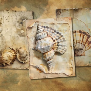 Bring the serene beauty of the ocean to your crafting with these Vintage Seashell Junk Journal Papers, featuring detailed shell illustrations.