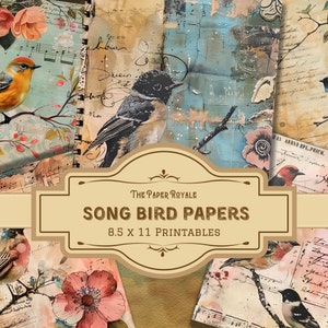 22 Song Bird Journal Papiere, 8,5 x 11 Zoll, bedruckbar, Vogel-Design, Scrapbooking, digitaler Download, Natur inspiriert, Junk Journal Seiten